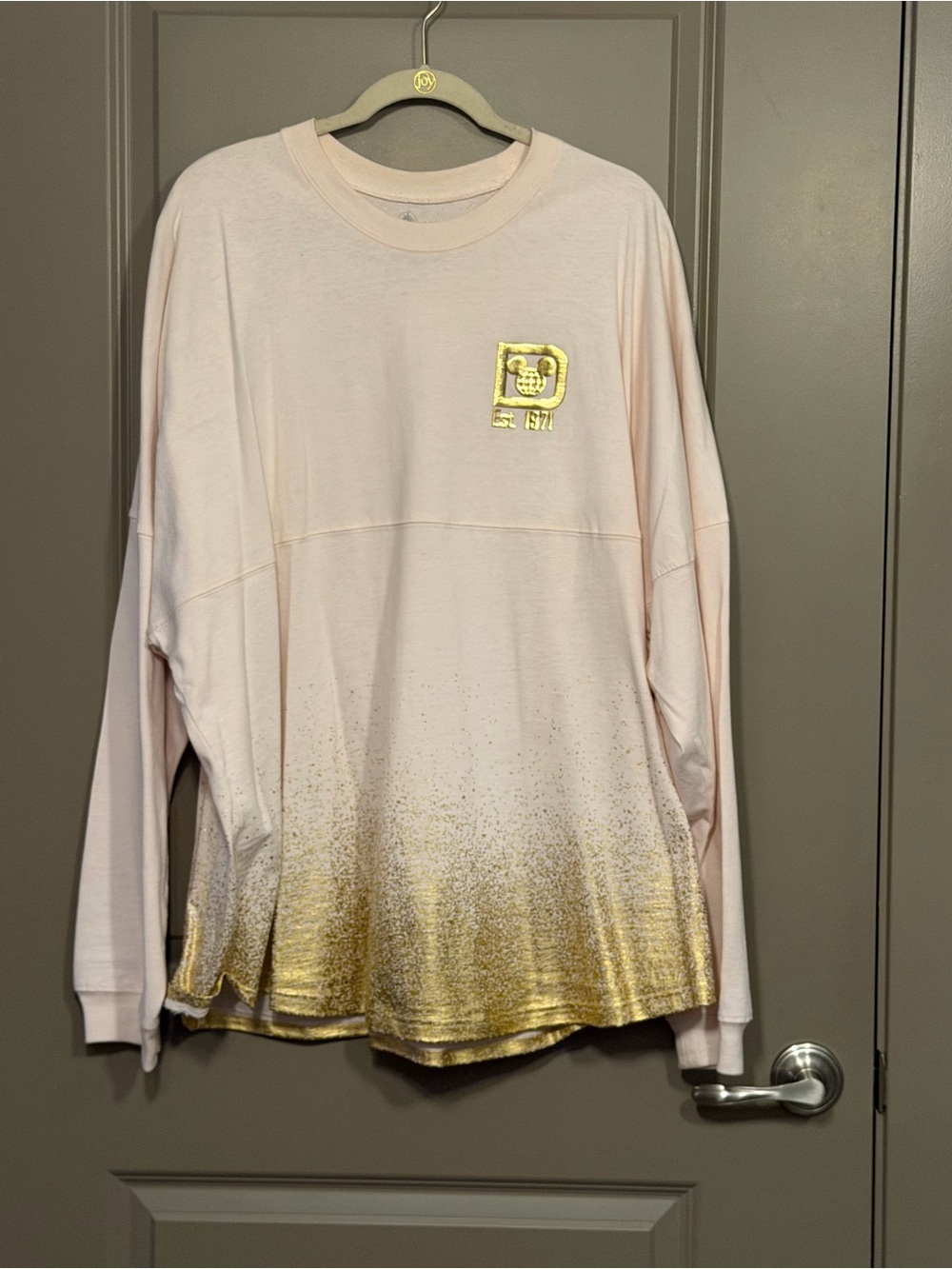 Walt Disney World Spirit Jersey